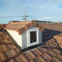 屋根に窓を付けました。のサムネイル